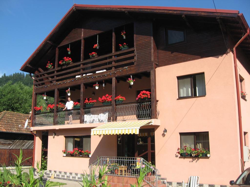 Pensiune Maria Rucăr Exterior foto